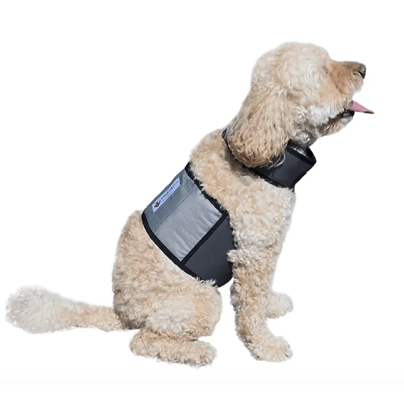 3. **Dog shoes are anti-slip and wear-resistant**Cooling Vest and Collar