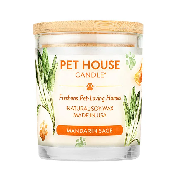 9. **Cat clothes cute model**One Fur All Pet House 9oz Candle - Mandarin Sage