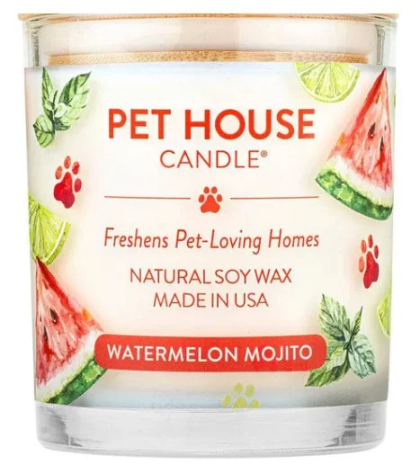 9. **Cat clothes cute model**One Fur All Pet House 9oz Candle - Watermelon Mojito